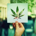 Navigating the Digital Marketing Landscape in Edge Verticals: The Cannabis Industry