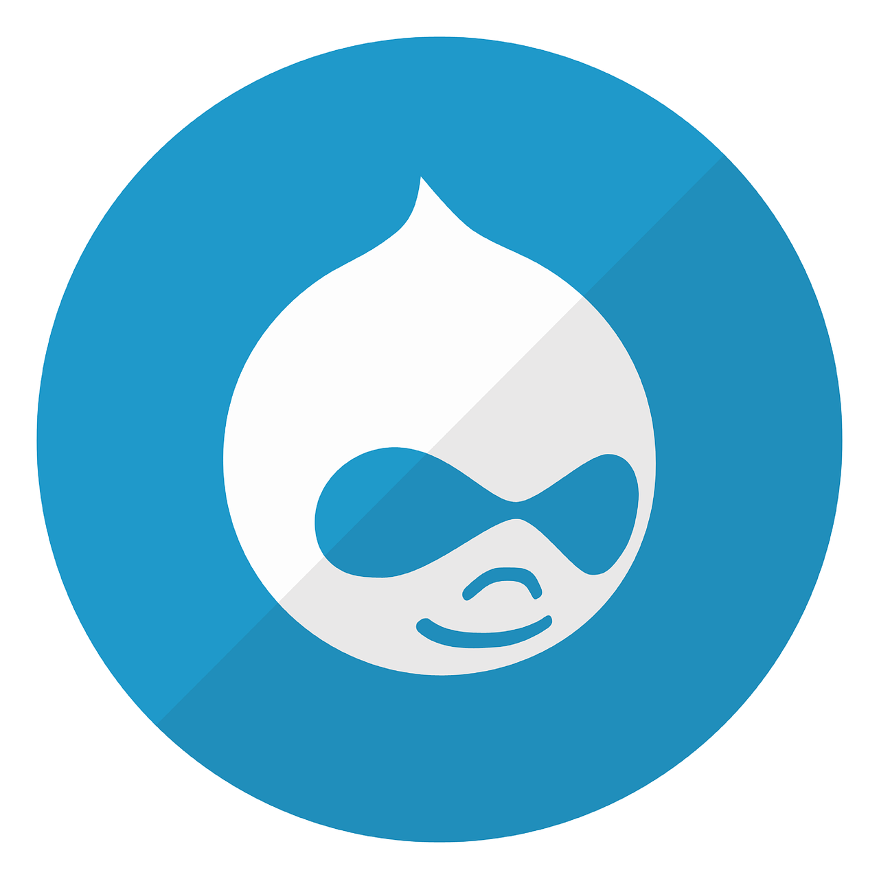 drupal, cms, website-6605196.jpg
