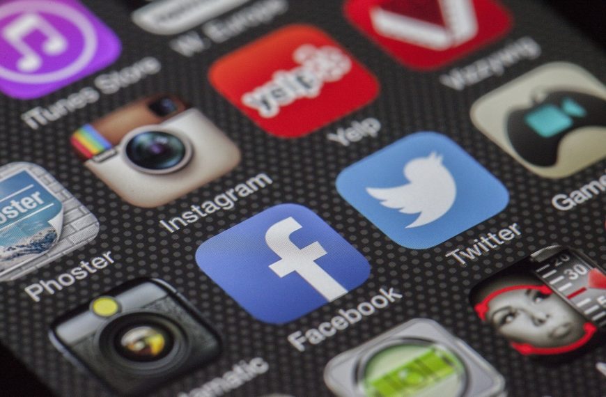 Demographics of Top Social Media Sites: Navigating the Digital Terrain