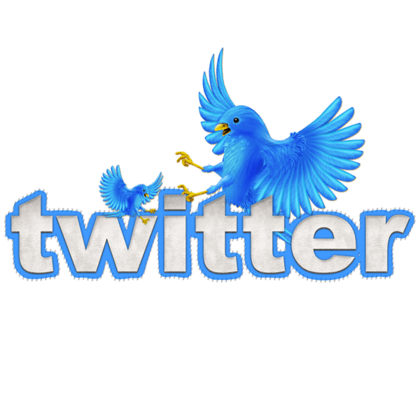 twitter tweet twitter bird chirp 2300071