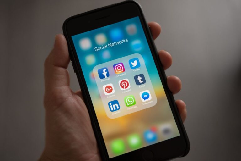 A person holding a mobile phone